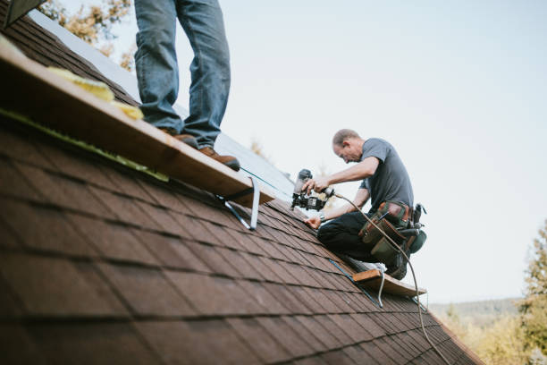 Best Roof Gutter Cleaning  in Aberdeen, NC